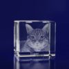 Laser Photo Crystal cube 50mm 2d